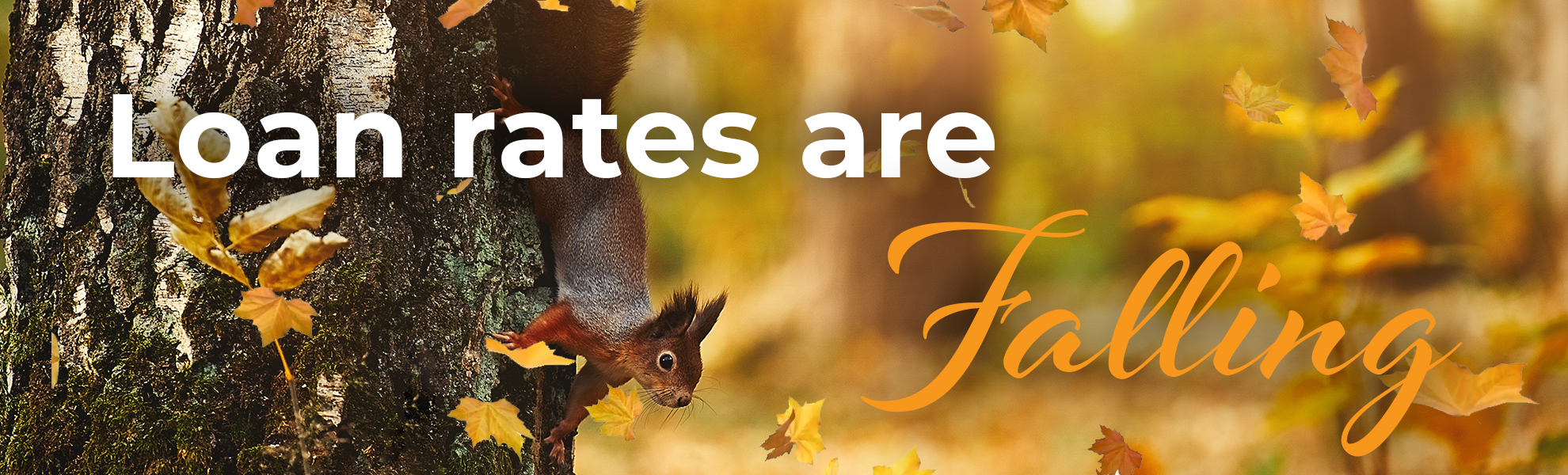 Fall Rates